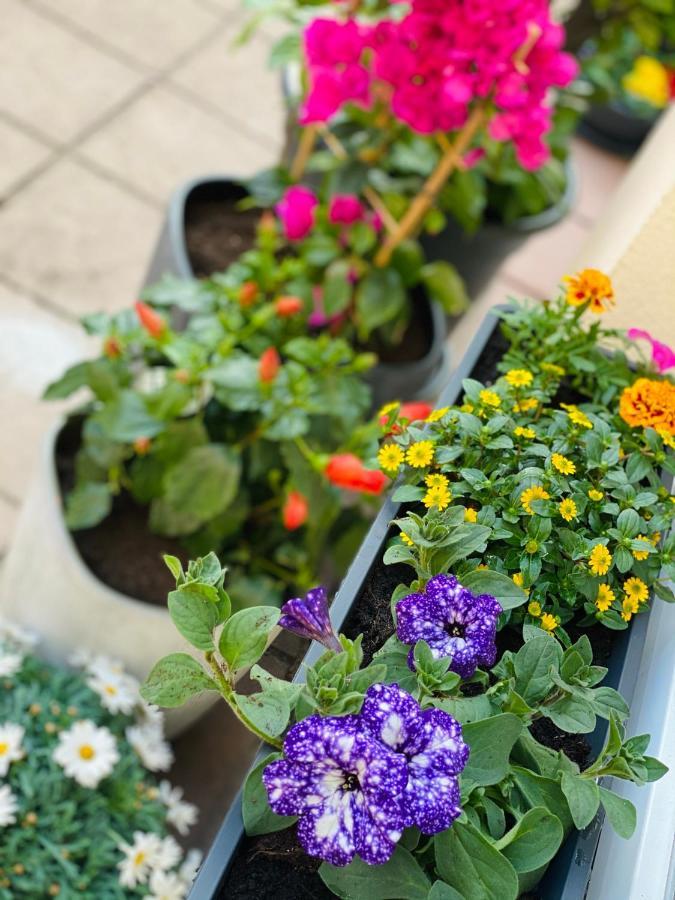 فندق بورجهوتل نورنبيرج نورنبيرغ المظهر الخارجي الصورة